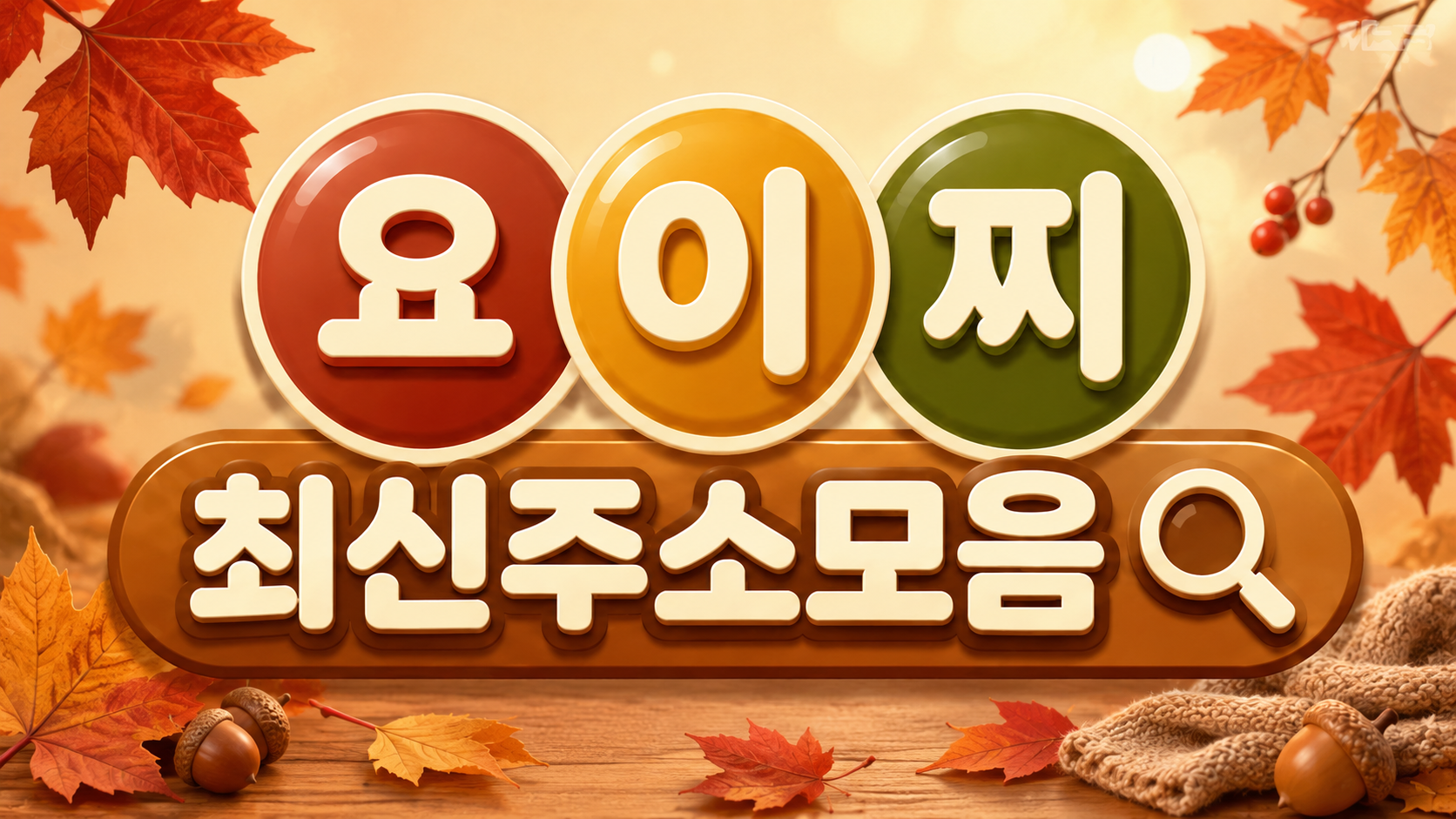 서비스 안내｜운세·타로·궁합·MBTI·로또 분석기